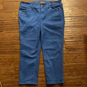 torrid Super Soft Cropped Blue Jeggings Size 16